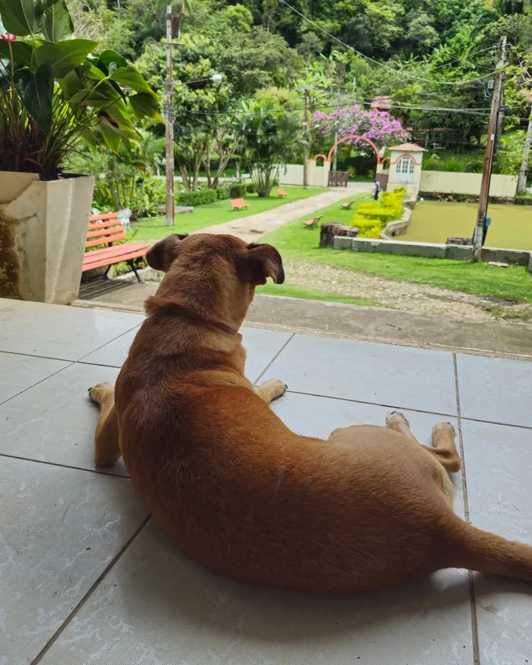Ventinha — Pousada
